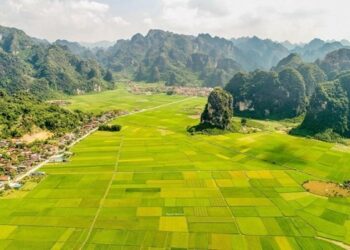 Vietnam eyes improvement in global tourism development rankings - Travel News, Insights & Resources.