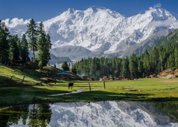 pakistan tourism revival 20240104053708 - Travel News, Insights & Resources.