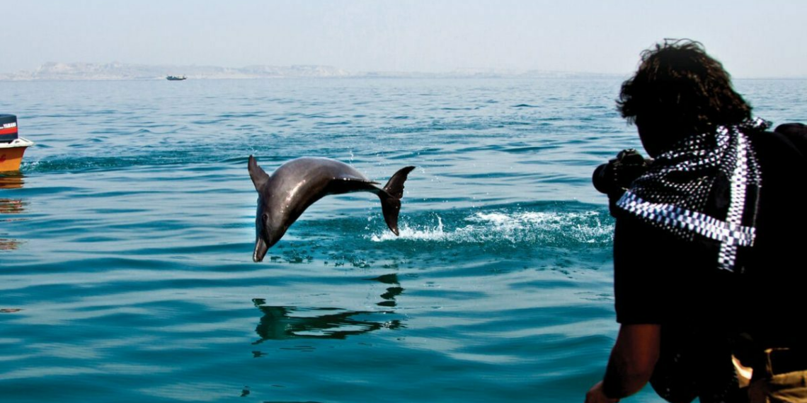 Dolphin Jumps Into Tourist Boat Off Hengam Island Southern Iran - Travel News, Insights & Resources.