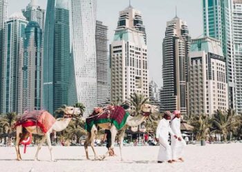 How To Get 5 Year Multiple Entry Visa For Dubai Check Documents - Travel News, Insights & Resources.