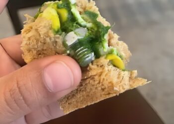 IndiGo passenger finds screw in sandwich on Bengaluru Chennai flight airline - Travel News, Insights & Resources.