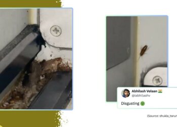 IndiGo passenger spots cockroaches in flights food area company responds - Travel News, Insights & Resources.