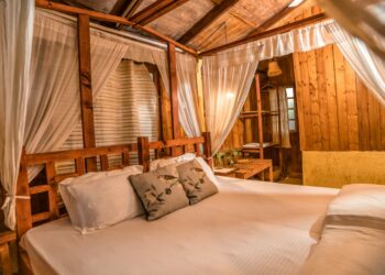 Signum Hotels launches Signum Jamboree Creek Resort in Mandrem Goa - Travel News, Insights & Resources.