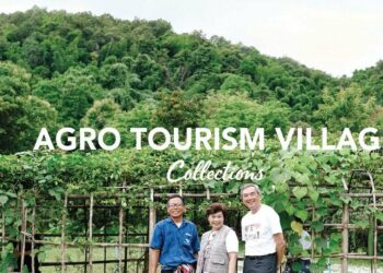 Thailands Best Kept Secret Agro Tourism - Travel News, Insights & Resources.