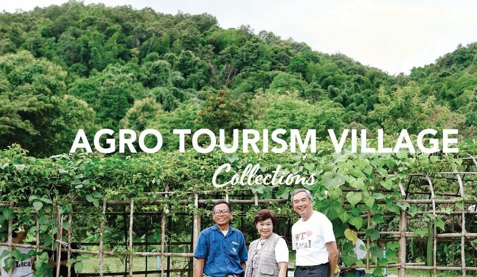 Thailands Best Kept Secret Agro Tourism - Travel News, Insights & Resources.