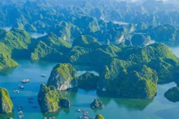 Vietnam welcomes 15 million international visitors in January 2024 - Travel News, Insights & Resources.