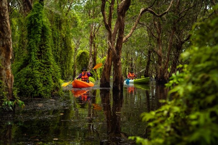 People kayaking through the woods

Description automatically generated