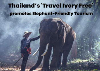 t 09 Thailands Travel Ivory Free promotes Elephant Friendly Tourism - Travel News, Insights & Resources.