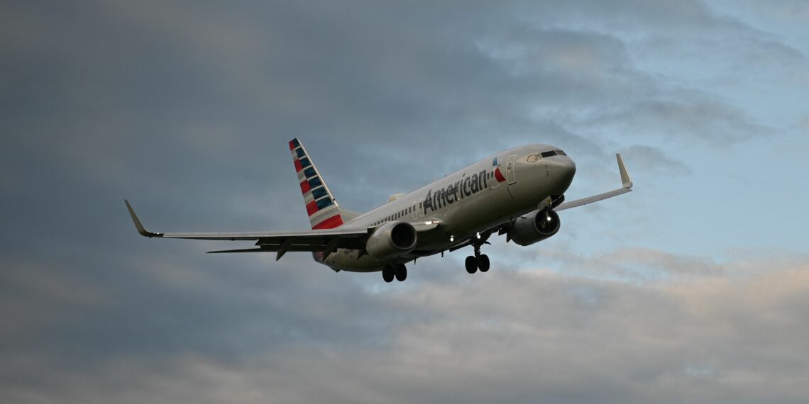 33 Hour Delay American Airlines Boeing 737 800 Night Bird Strike - Travel News, Insights & Resources.