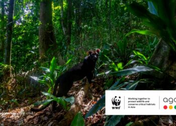 Agoda to donate USD1 to WWF for bookings in extended - Travel News, Insights & Resources.