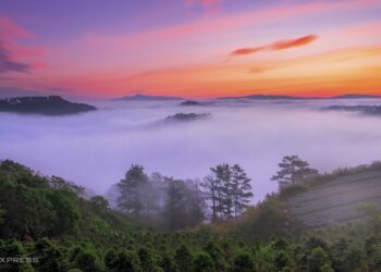 Da Lat among Asias top 9 nature destinations Agoda - Travel News, Insights & Resources.