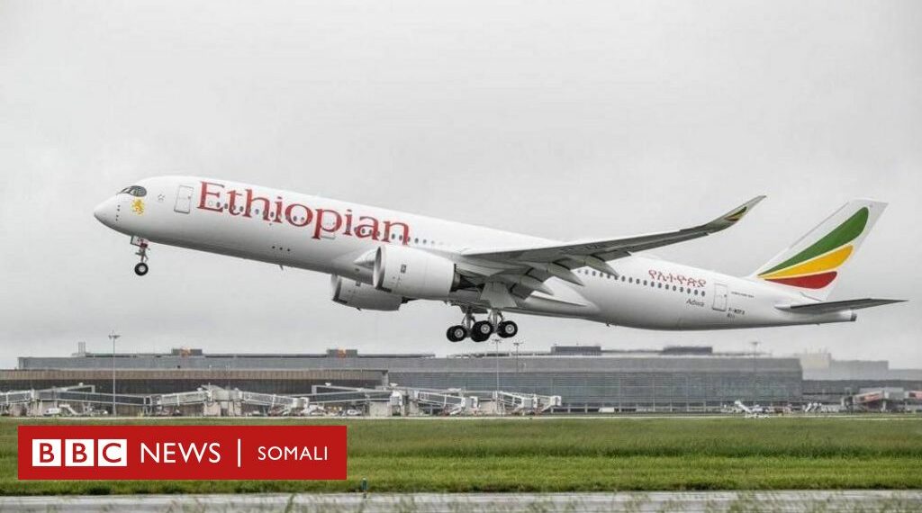 Ethiopian Airlines oo joojisay qaar ka mid ah duullimaadyadii mari - Travel News, Insights & Resources.