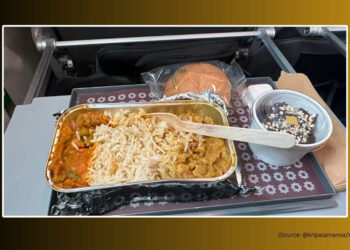 Food vlogger reviews Vistaras ‘inedible meal served on flight airline - Travel News, Insights & Resources.