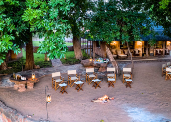 Hideaways Africa takes over Hwange camp - Travel News, Insights & Resources.