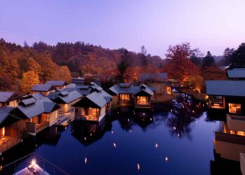 Hoshino Resorts How This CEO Built an Iconic Japanese Hotel - Travel News, Insights & Resources.