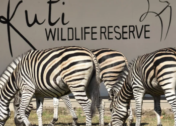 Local operator takes over management of Malawi reserve - Travel News, Insights & Resources.