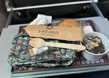 Sense Of Nostalgia Food Vlogger Makes Fun Of Vistara Airlines.webp - Travel News, Insights & Resources.