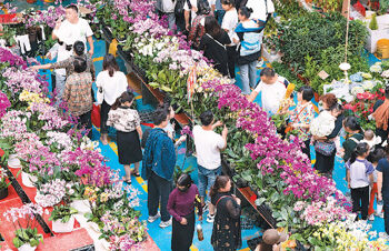 Thriving flower industry boosts tourism in SW Chinas Yunnan - Travel News, Insights & Resources.