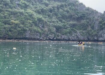 Tourists turn away as Ha Long Bay full of plastic - Travel News, Insights & Resources.