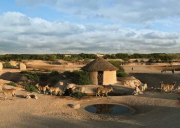 UAE Free entry to popular zoo announced for today.com - Travel News, Insights & Resources.