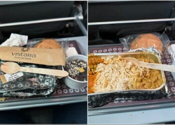 Vistara reacts after passenger compares in flight meal with hostel food - Travel News, Insights & Resources.