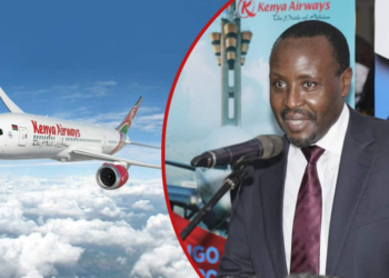 Weve no preferences KQ seeks KSh 167b support from strategic - Travel News, Insights & Resources.