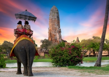 Arlington Chamber Commerce sets trip to Thailand for autumn.jpegw1002h668modecrop - Travel News, Insights & Resources.