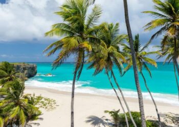 British Airways launches Avios Only flights to Barbados and Geneva – - Travel News, Insights & Resources.