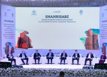 ECO Summit Pakistans Initiatives For Connectivity And Tourism Development - Travel News, Insights & Resources.