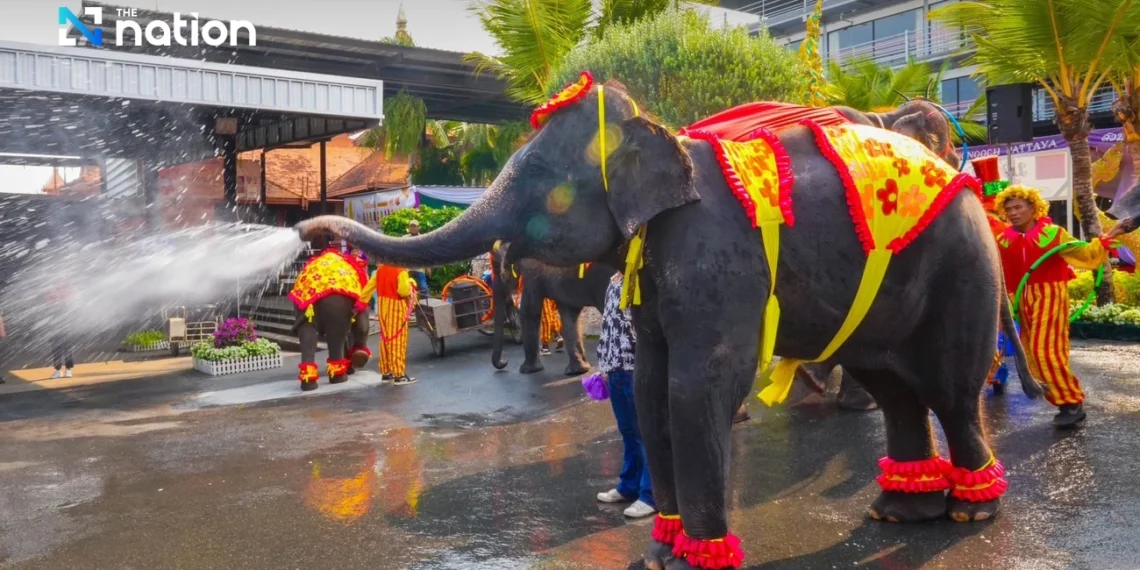 Elephants join Songkran festivity at Nong Nooch Tropical Garden.webp - Travel News, Insights & Resources.