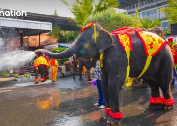 Elephants join Songkran festivity at Nong Nooch Tropical Garden.webp - Travel News, Insights & Resources.