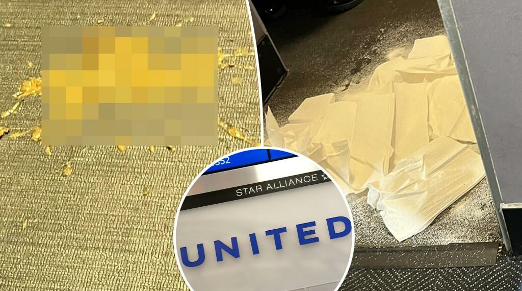 Flight diverted after dog poops on board ‘Smell never quite - Travel News, Insights & Resources.