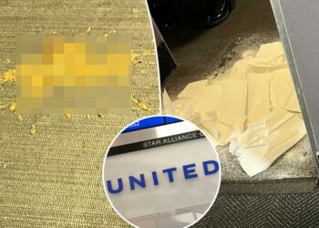 Flight diverted after dog poops on board ‘Smell never quite - Travel News, Insights & Resources.