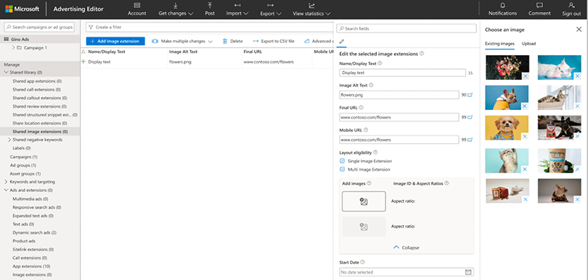Manage Image Extensions within Microsoft Advertising Editor