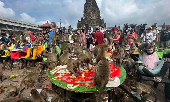 Thailand to relocate 2500 monkeys from popular tourist spot - Travel News, Insights & Resources.