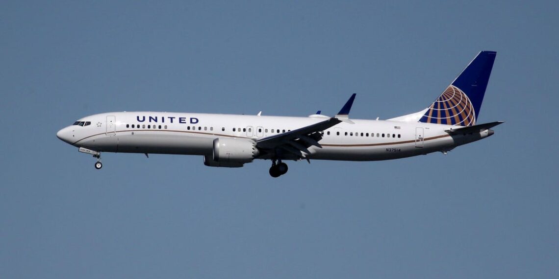 United Airlines Diverts Flight After Dog Poops In Aisle - Travel News, Insights & Resources.