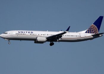 United Airlines Diverts Flight After Dog Poops In Aisle - Travel News, Insights & Resources.