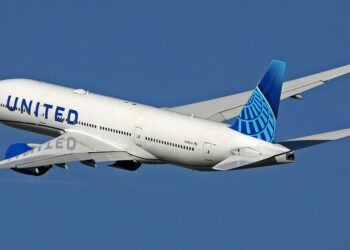 United Airlines Flight Forced To Land After Dog Poops In - Travel News, Insights & Resources.