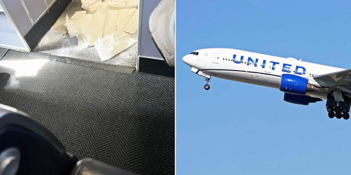 United Airlines Flight Forced to Divert After Dog Pooped in - Travel News, Insights & Resources.