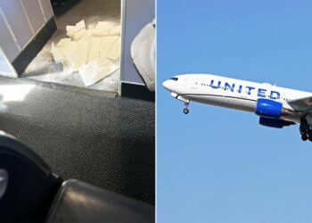 United Airlines Flight Forced to Divert After Dog Pooped in - Travel News, Insights & Resources.