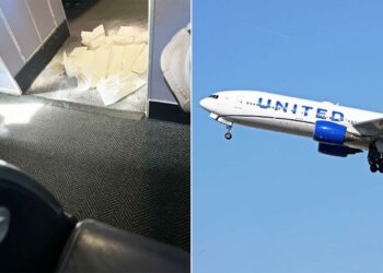 United Airlines Flight Forced to Divert After Dog Poops in - Travel News, Insights & Resources.