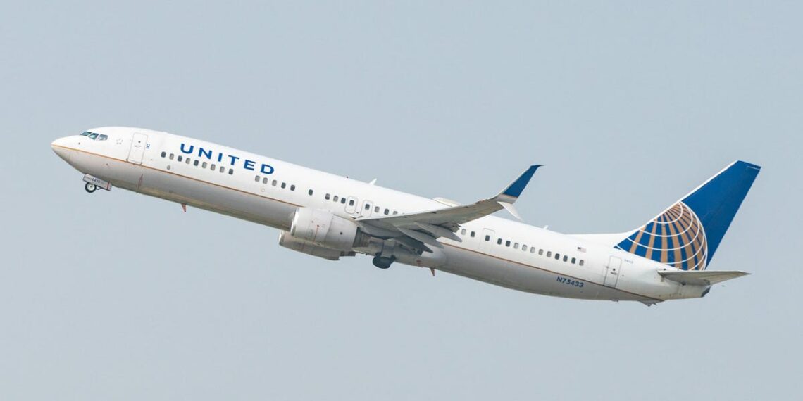 United Airlines flight diverted after dog pooped in aisle - Travel News, Insights & Resources.