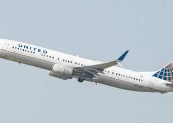 United Airlines flight diverted after dog pooped in aisle - Travel News, Insights & Resources.