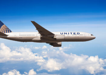 United Airlines flight diverts after dog poops smell lingers - Travel News, Insights & Resources.