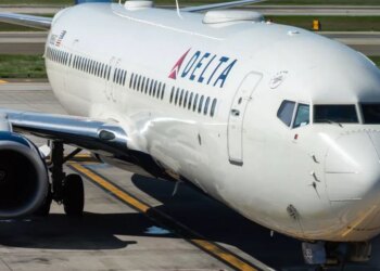 United Airlines flight forced to cut journey short after dog - Travel News, Insights & Resources.