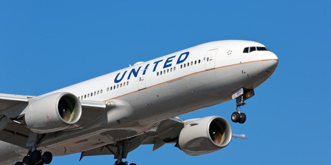 United Airlines flight forced to land after dog defecates in - Travel News, Insights & Resources.