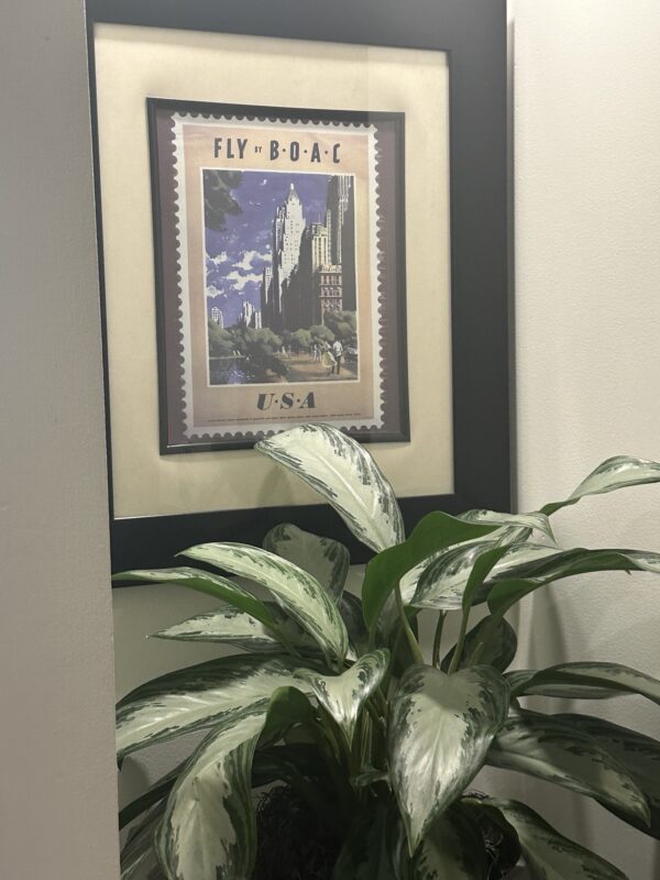 a plant in a pot next to a picture frame