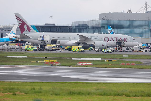 Ambulances gathering around the plane which landed safely in Dublin airport at around 1pm. Eight passengers were taken to hospital after being checked over by medical staff