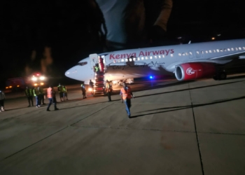 Kenya Airways Statement After Kisumu Flight Suffered a Bird Strike - Travel News, Insights & Resources.