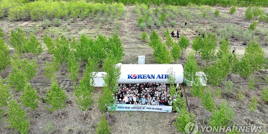 Korean Airaposs 20 year long afforestation effort in Mongolian desert Yonhap - Travel News, Insights & Resources.